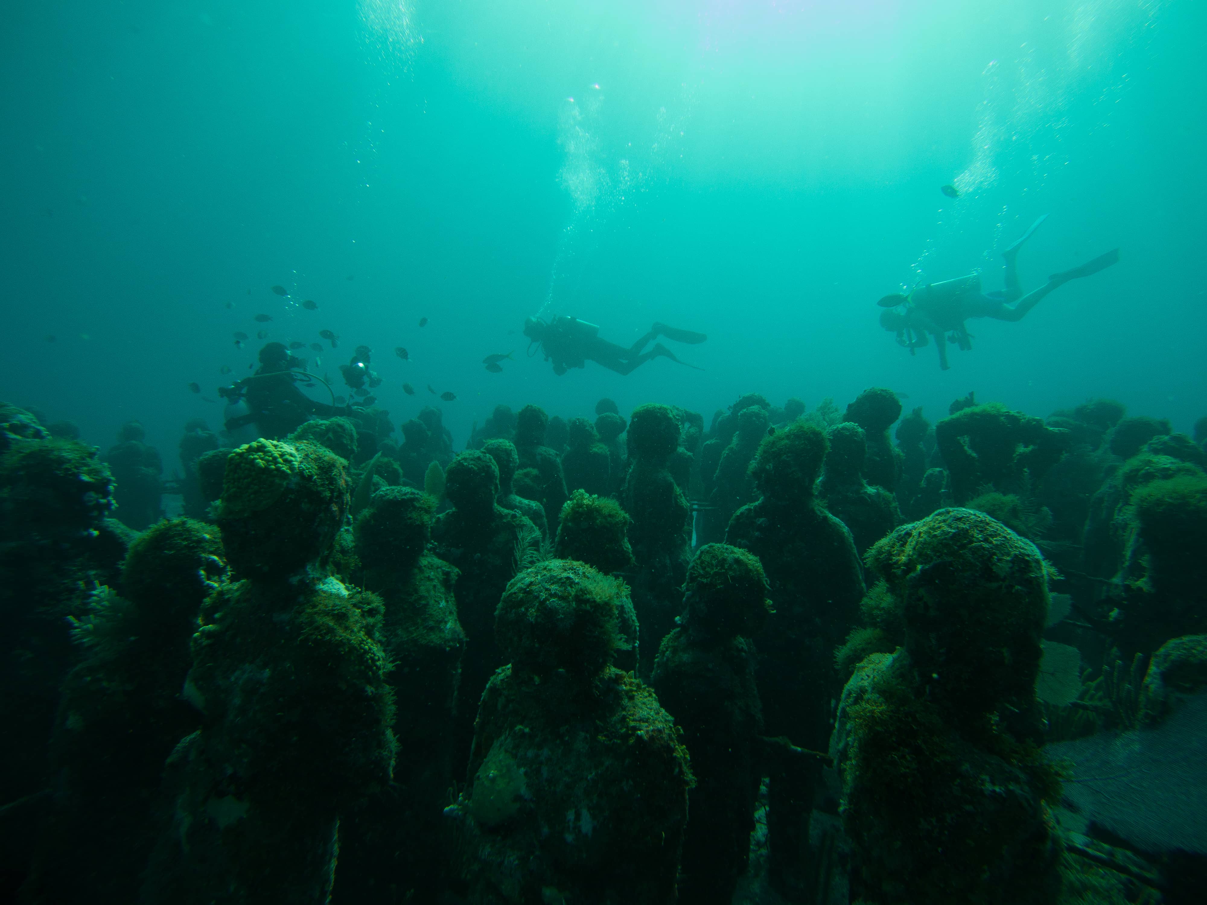 MUSA Unterwassermuseum vor der Isla Mujeres