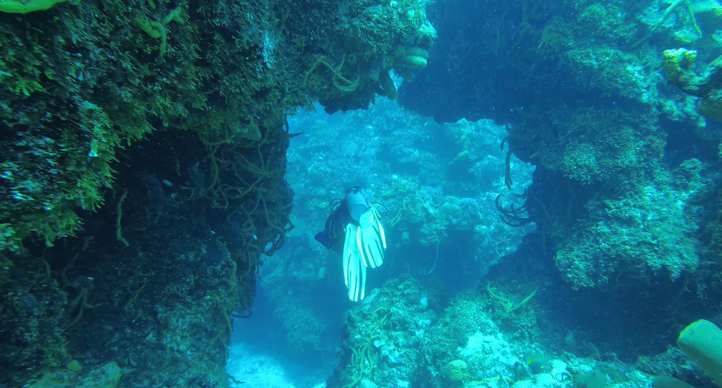 Ein durchschwimmbares Höhlensystem in Palancar Caves