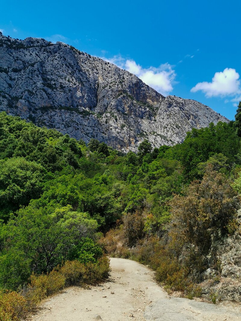 Ein Wanderweg durch die Natur