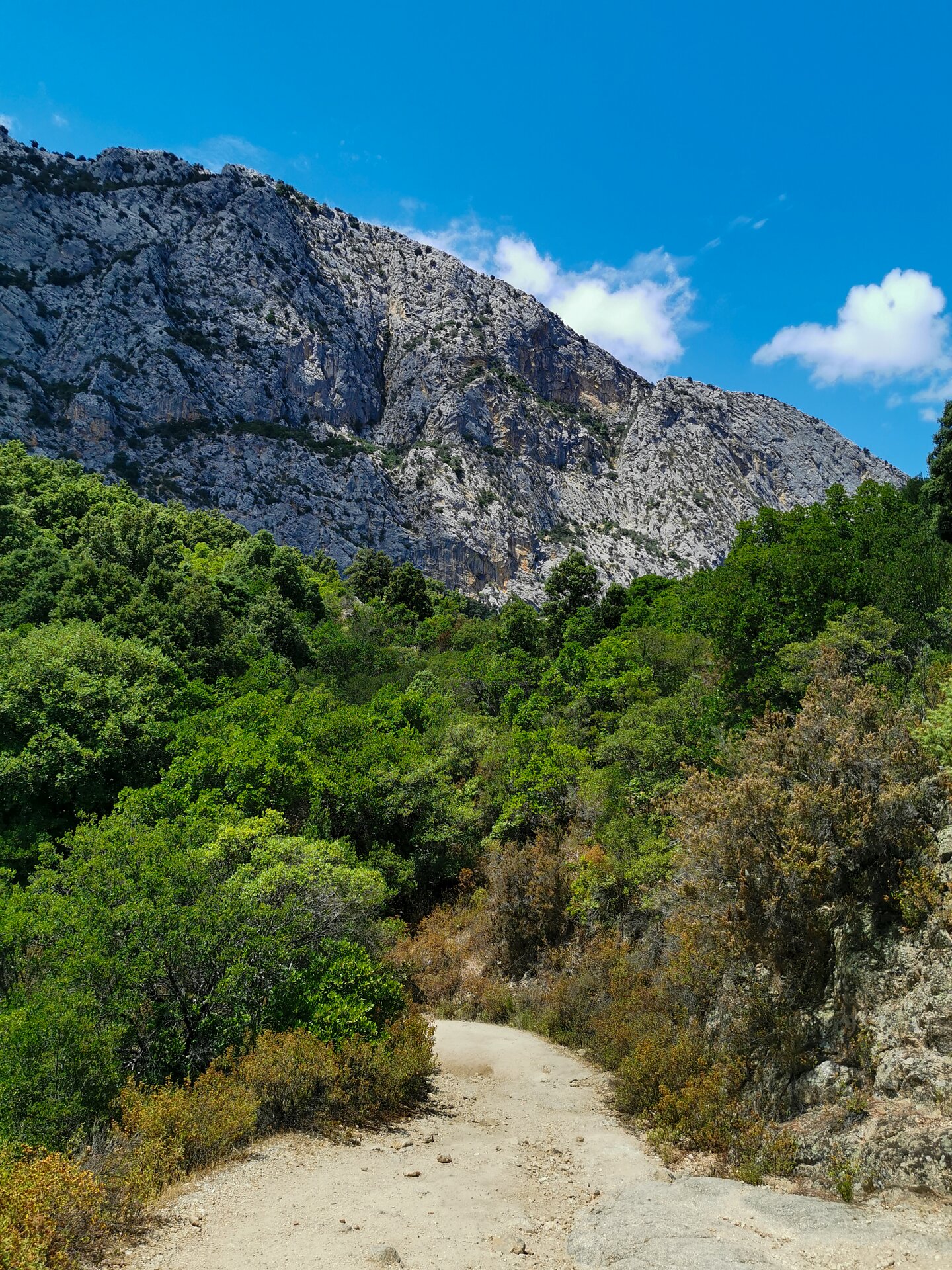 Ein Wanderweg durch die Natur
