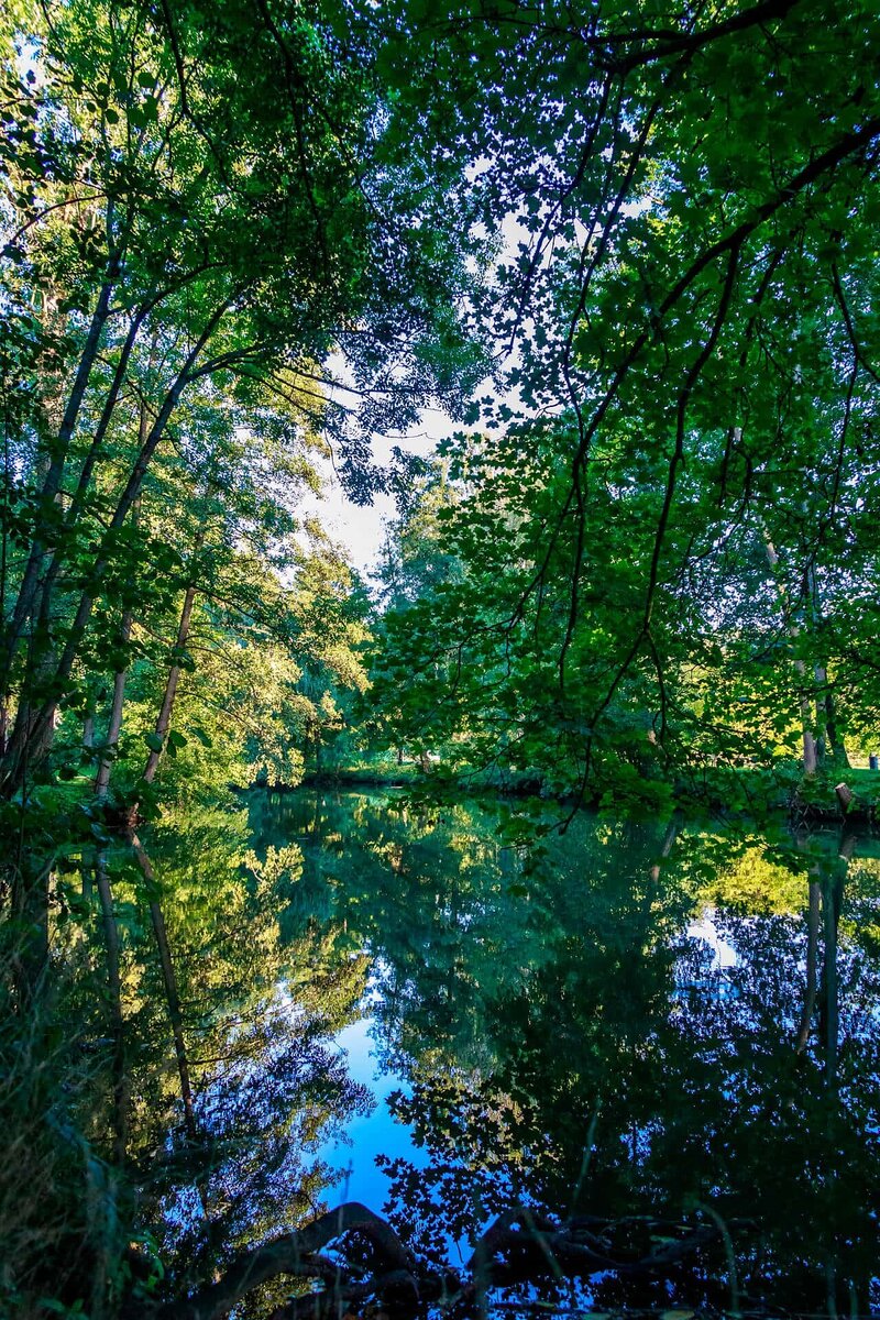 Die Fränkische Saale durchquert den Luitpoldpark