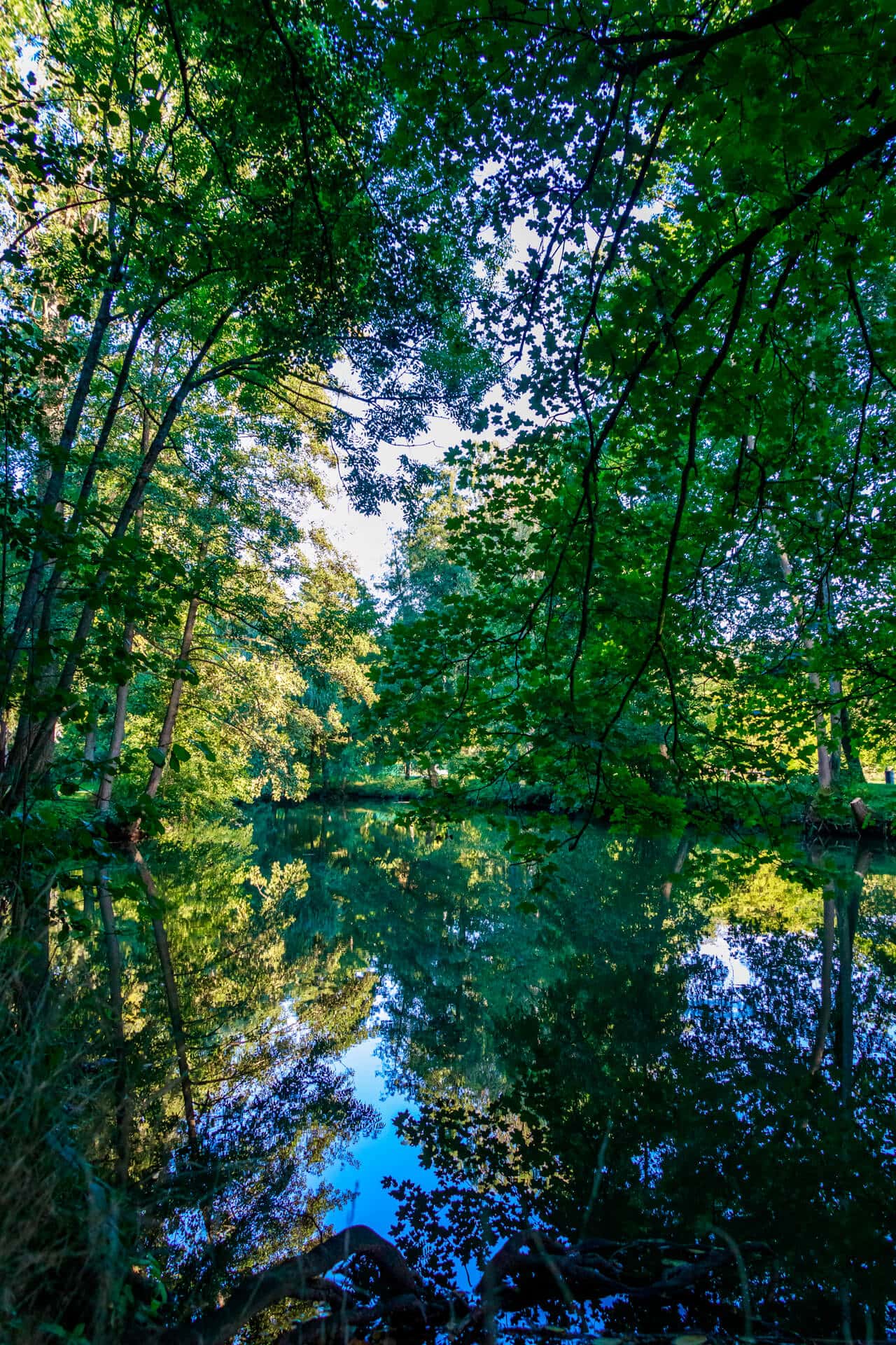 Die Fränkische Saale durchquert den Luitpoldpark