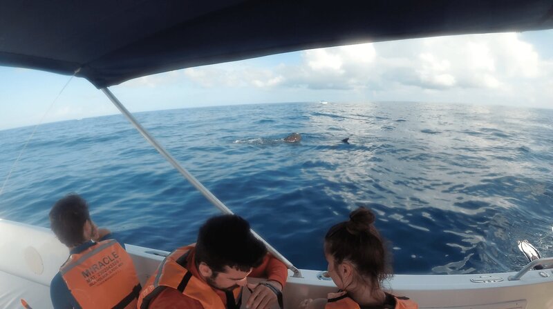Die Aussicht vom Boot