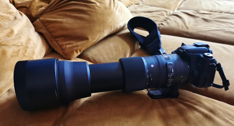 Das 600mm-Monster liegt bereit für die Bärenbeobachtung