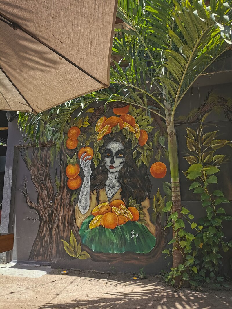 Ein kleines Kunstwerk bei Naranjas