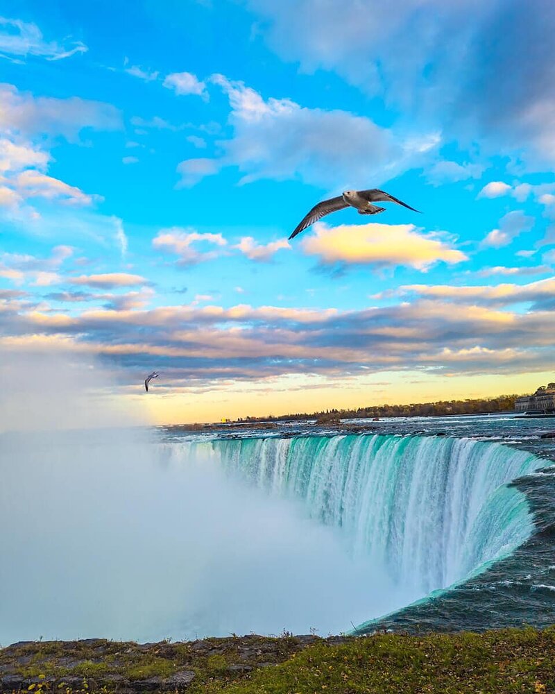 Eine Möwe segelt über die tosenden Horseshoe Falls, während die Gischt in den Himmel steigt
