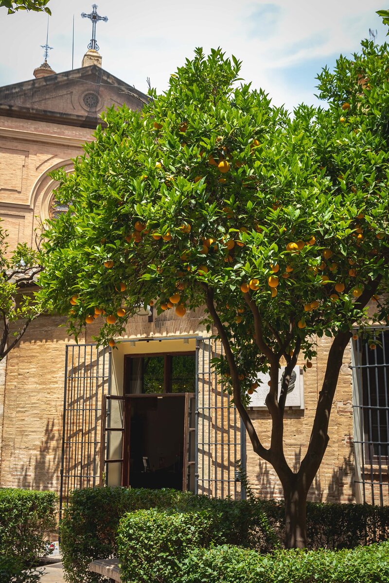 Der Orangengarten der Seidenbörse