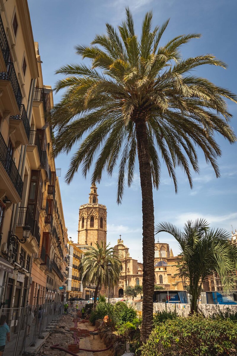 Aussicht auf die Basilika vom Plaza de la Renia