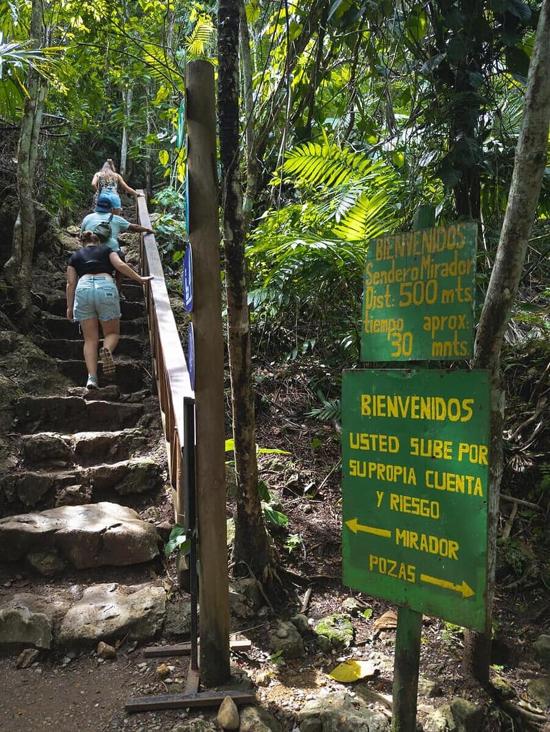 Steile Steintreppe hinauf zum Mirador von Semuc Champey – die grünen Schilder zeigen dir den Weg