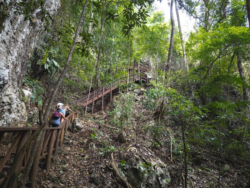 Über Holztreppen durch den Dschungel hinauf zum Mirador von Semuc Champey