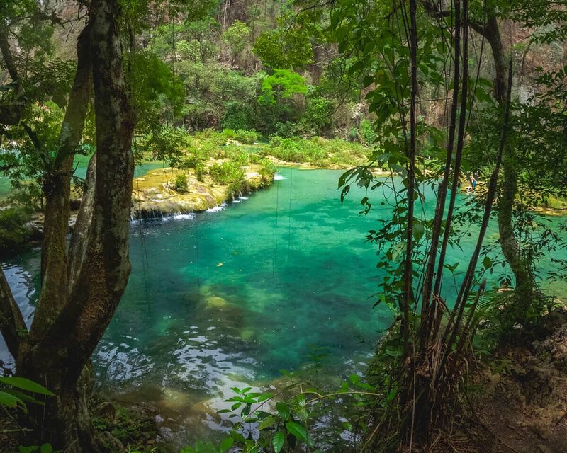 Smaragdgrünes Wasser blitzt zwischen den Bäumen von Semuc Champey hervor