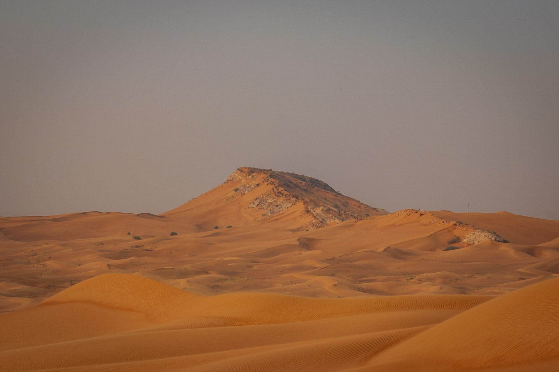Wüstensafari in Dubai: Tipps und Erfahrungen für die beste Tour durch die Wüste!
